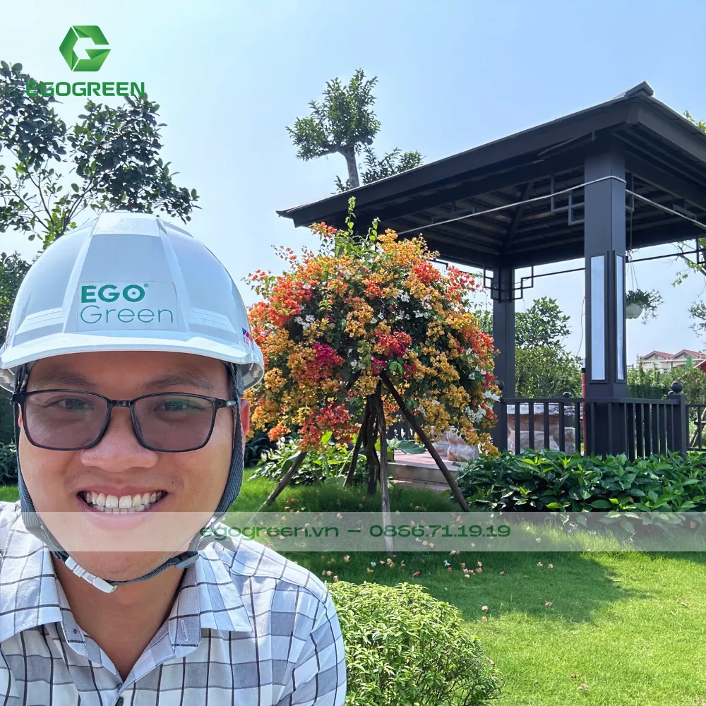 Cây xanh và hoa nở rực rỡ hợp với không khí Trung thu 2025